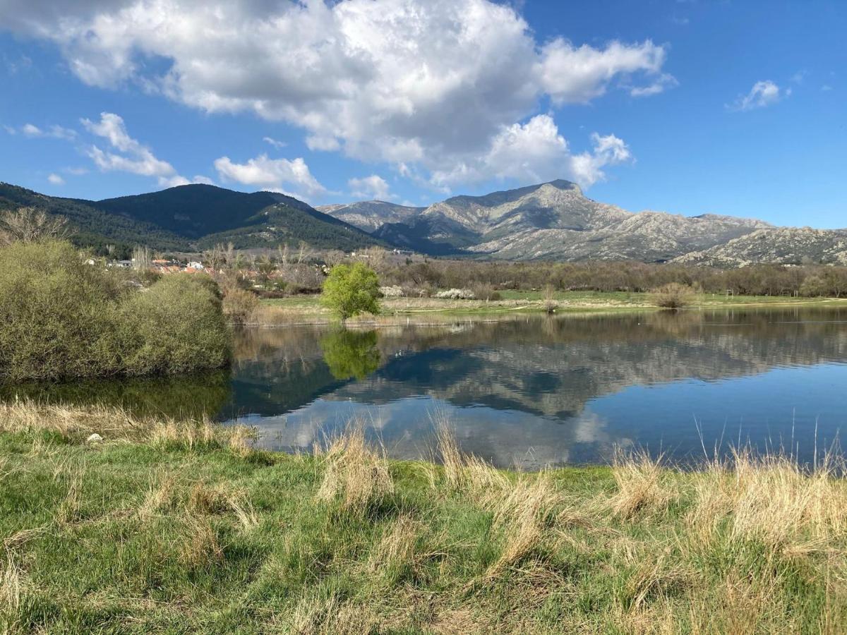 Los Cedros, Gran Chalet Con Piscina Y Apartamento En Navacerrada Villa Exterior foto