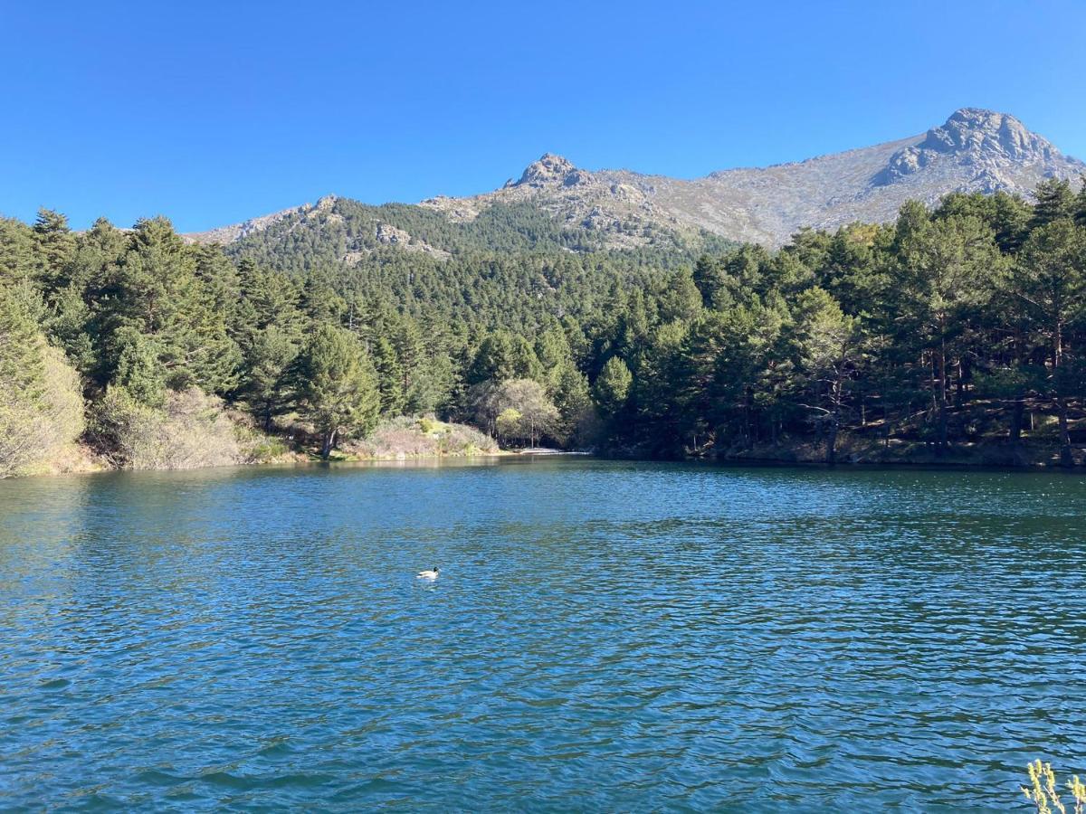 Los Cedros, Gran Chalet Con Piscina Y Apartamento En Navacerrada Exterior foto